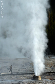 Beehive Geyser erupting ~200 feet. See the person?