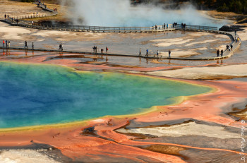Grand Prismatic Spring as viewed from the hill by Fairy Hills trail. See the ant people?