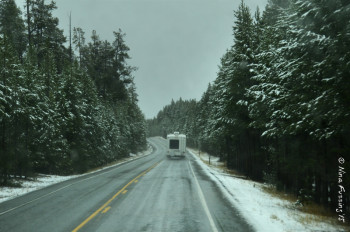 Snowy drive thro Yellowstone