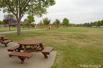 View of one of the many green spaces around the park. Restaurant is in the background on the left.