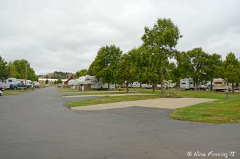 View down another "street". Empty site 290 on right.