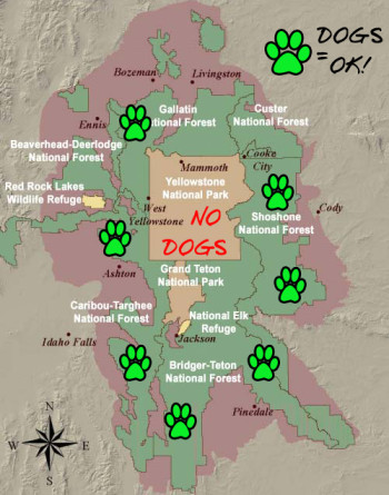 Doggies are allowed everywhere in the green areas!