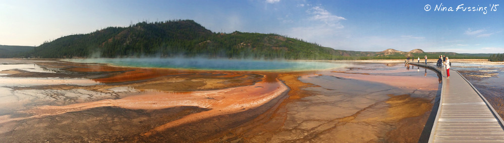 Grand Prismatic from the boardwalk is a completely different view