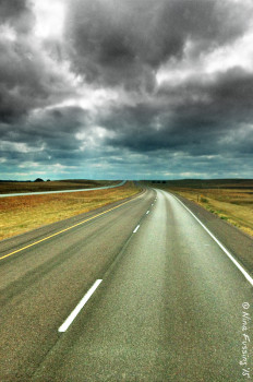 Western Nebraska back roads. Yup, it's a whole lotta this...