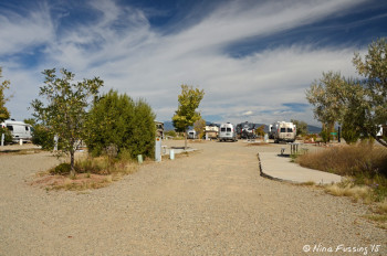 View down another front row. This is Iris street. Site #1 on right.