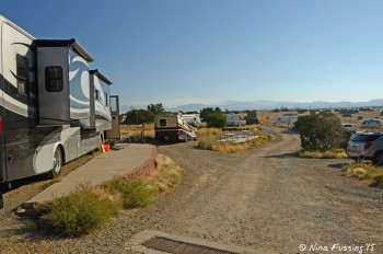 View further down rear Yucca area. RV in site #A on left. This area feels much more like a public park.