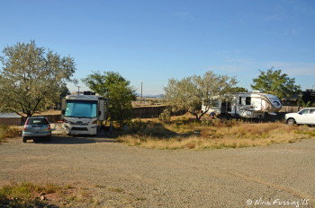 Another view of rear Yucca area. Site #14 on left, #15 on right. LOTS of separation here!