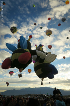 The Bumblebee balloons often "kiss" as they ascend.