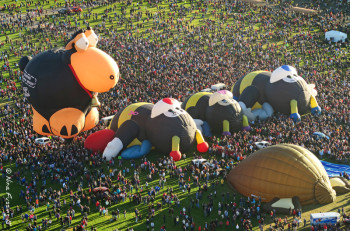 The launch field as seen from the sky. Up to 80,000 people attend daily.