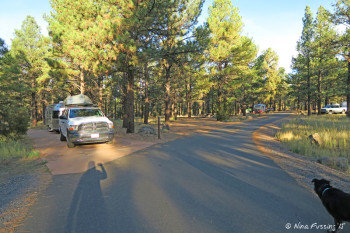 View further into B Loop. RV in site #21 on left with empty pull-through #19 behind it.