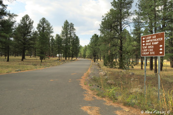 View of entrance into Loops A & B. Nice, wide roads everywhere.