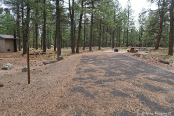 Group Camping Area. Sites here look identical to the regular loop sites. Only difference is there are communal "sitting areas". This is #79.