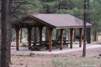 View of communal "sitting area" in Group Camping.