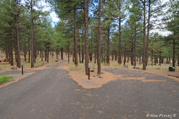 End of D Loop. Pull-through #60 on right.