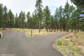 E Loop. Site #72 on right with pull-through #71 in back on left.