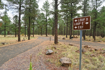 Entry to D Loop. Site #46 on right.