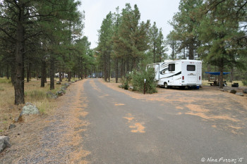 Another view of Loop A. RV in site #8 (nicely flat) on right. The popup in far back left is in site #11.