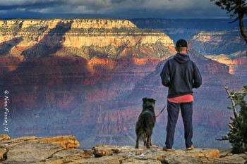Enjoy some early morning colors w/ Polly at the rim