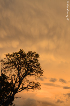 Cloudy evening