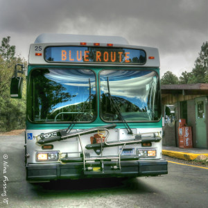 There are 3 bus routes, Red, Blue and Orange