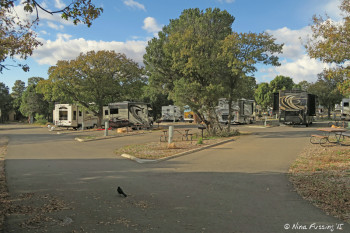 Another "row" view. Empty site E23 with E24, E25 to left of it.