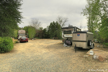 View of beginning of "upper park" loop. Sites #49, #48, #47 left to right.