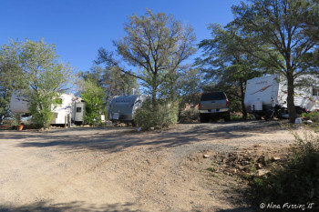 More "lower park" loop sites. Site #11, #10, #9 from left to right.