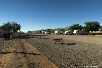 View behind our site. You can see our "butt" on left in #107. Middle sites right behind us (empty). Front row sites on the right.