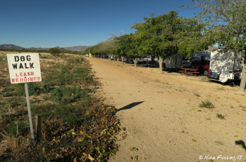 View of dog run down the back of the front row.