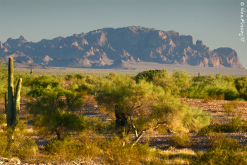 20151111-N Quartzsite (45) (JPG)