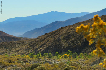 The pristine desert at Whitewater Preserve