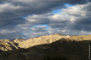 Desert shades