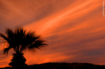 Winding down to my last few warm desert sunsets