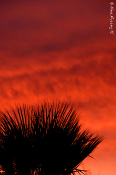 Fiery ripples