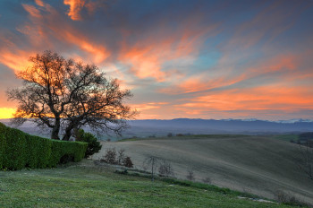 Early morning glow