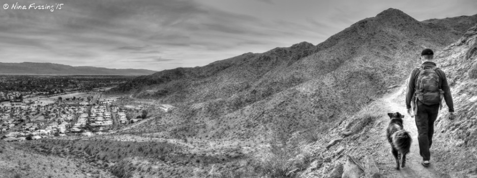 Hiking the scenic Araby Trail on an overcast day with doggie