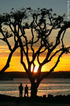 Another fine one by Seaport Village