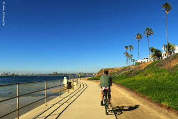 Biking the Bay on another perfect day