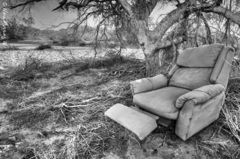 The desert hides all kinds of strange things