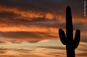 20160214-N Sunset Picacho Peak (40) (JPG)