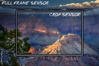 Full frame versus crop frame pic