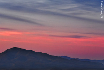 A subtle evening of pink