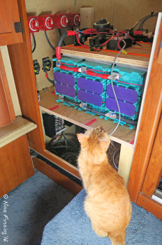 Our installation was feline inspected & approved