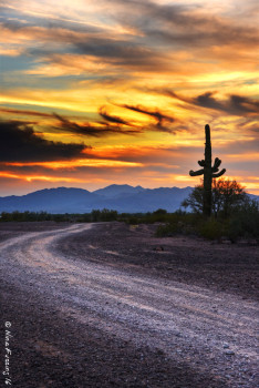 The road to nowhere