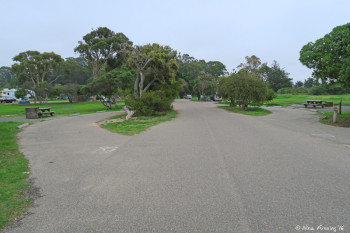 View towards far end of campground loop. Site #28 on left, #29 on right