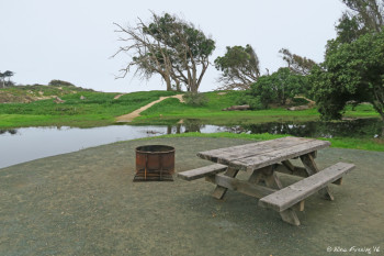 Typical "sitting area" view. This is site #29.