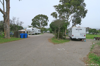 View down one of middle rows. Site #33 on right, #34 on left