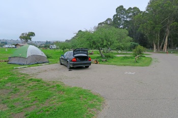 Another of the short back-ins. This is site #82.