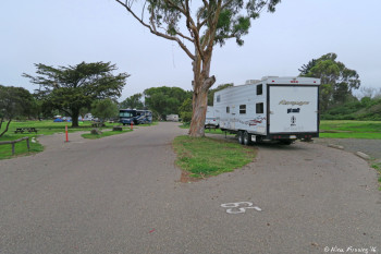 View down outer row. Site #65 on right.