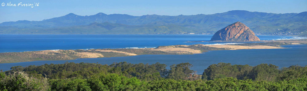 View of gorgeous Morro Rock from Morro Dunes Ecological Preserve